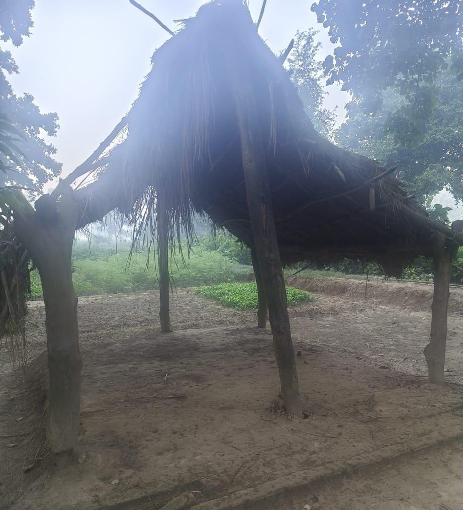 Elephants broke the forest department's shed, trampled the nursery