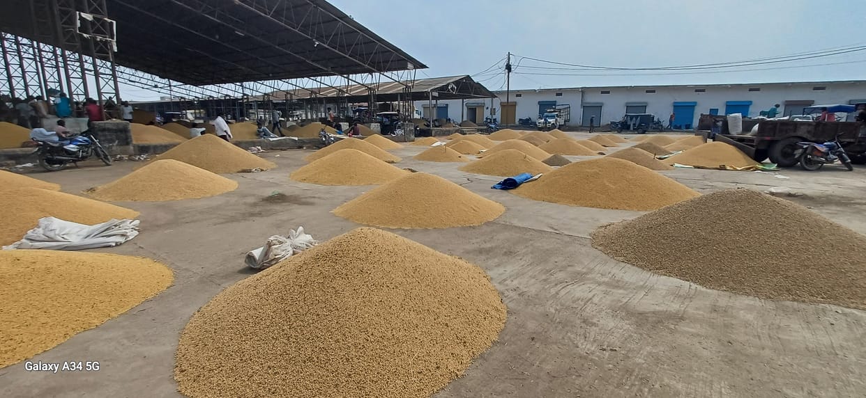 Damoh Soybean sowing in 80 thousand hectares crop record not recorded on portal 784 farmers registered