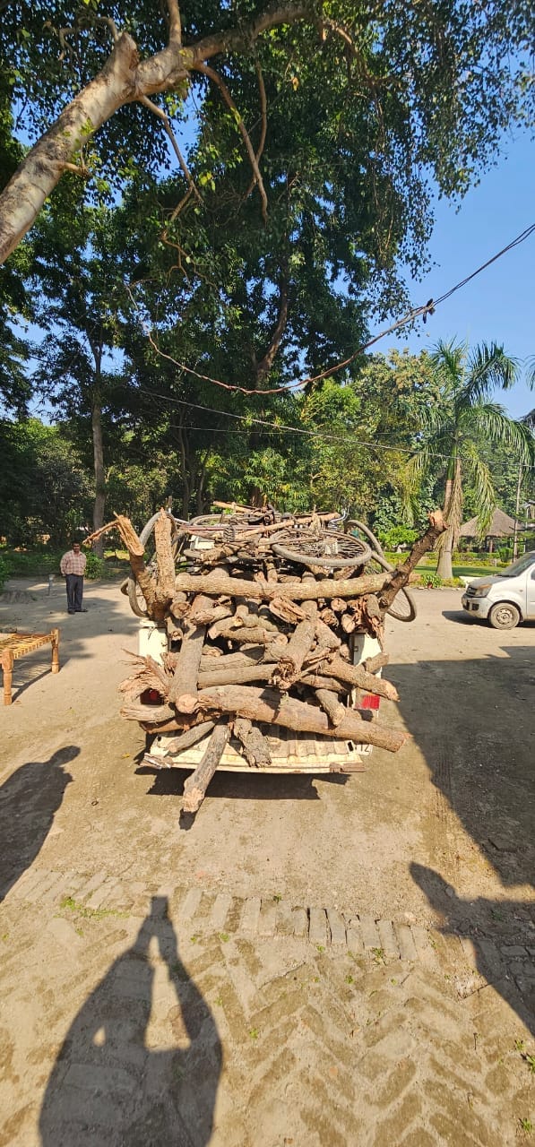 Wood brought from the forest was caught, now recovery will be made from forest workers