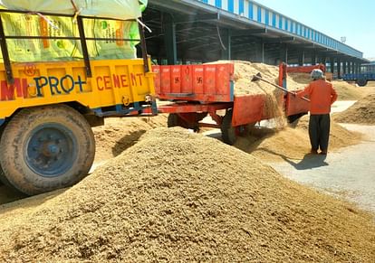 Due to moisture, paddy and millet were not procured and lifted