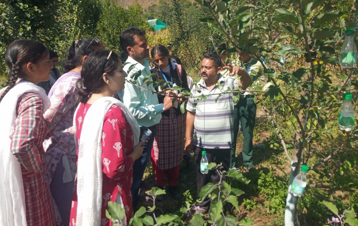 Students learned the method of planting Kiwi saplings.