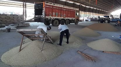 1000 quintal paddy reached new grain market, expected to purchase from today