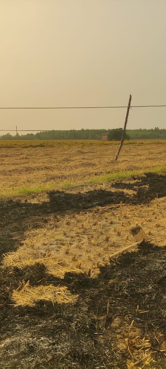 LT is looming like death over the heads of farmers