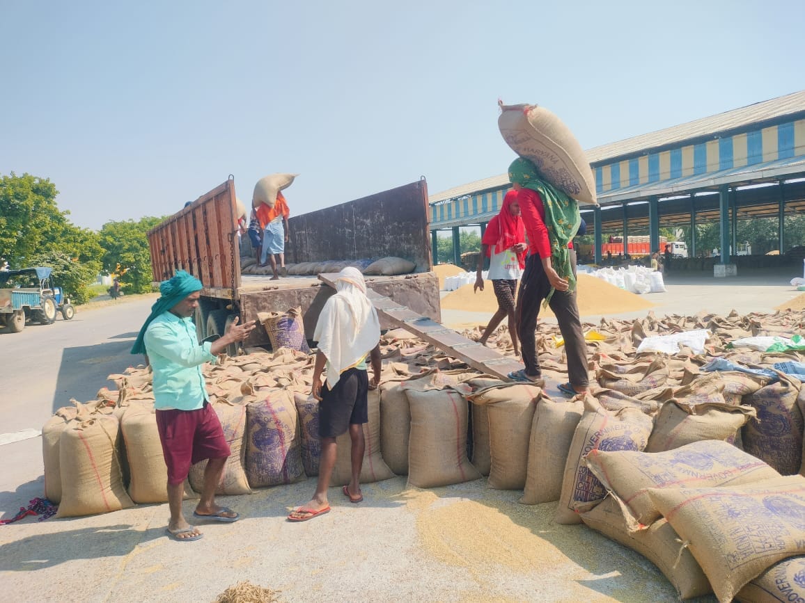 Farmers are waiting for payment for millet crop
