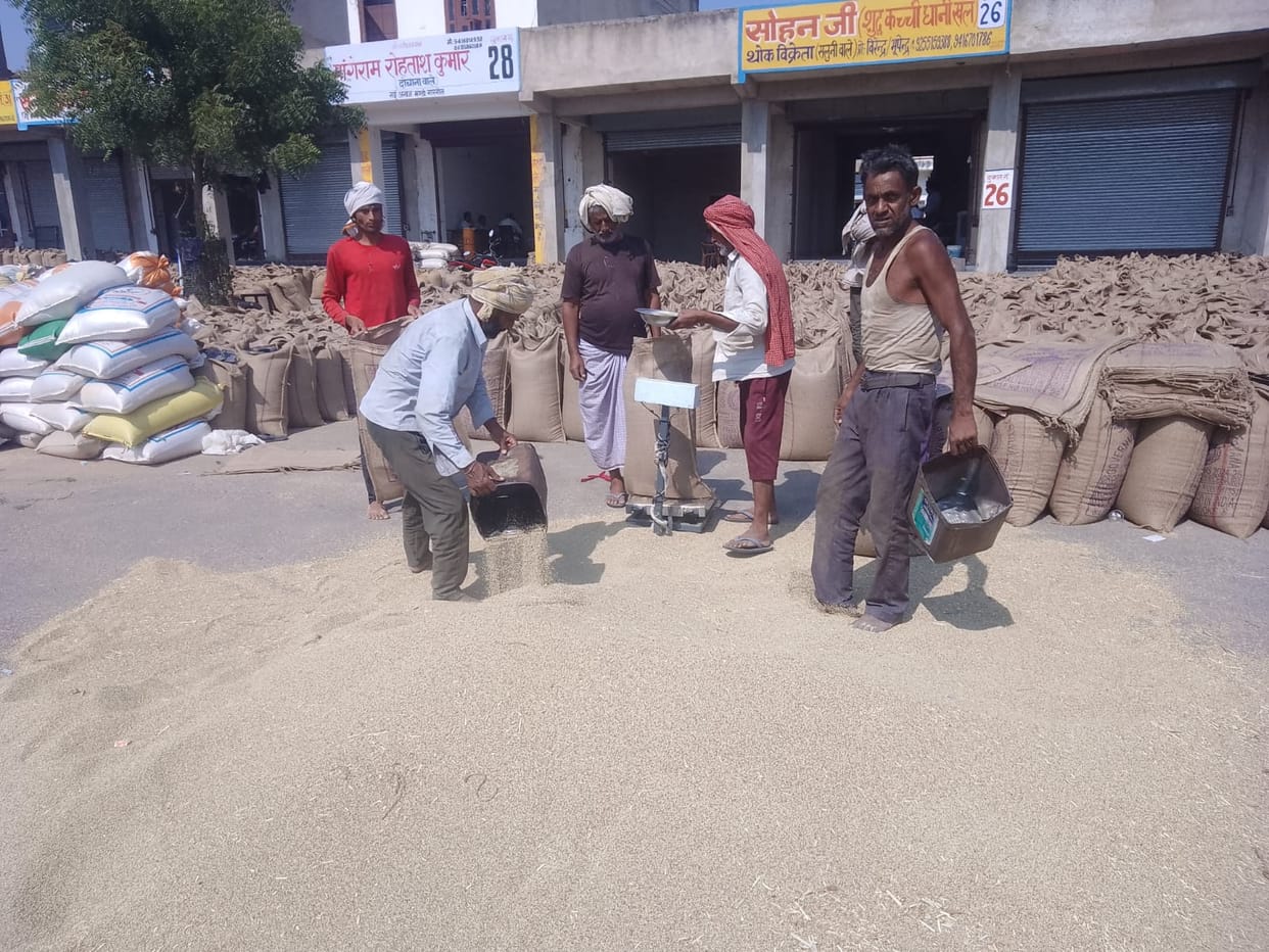 There is less gunny bags in Narnaul grain market, time is being taken for weighing.