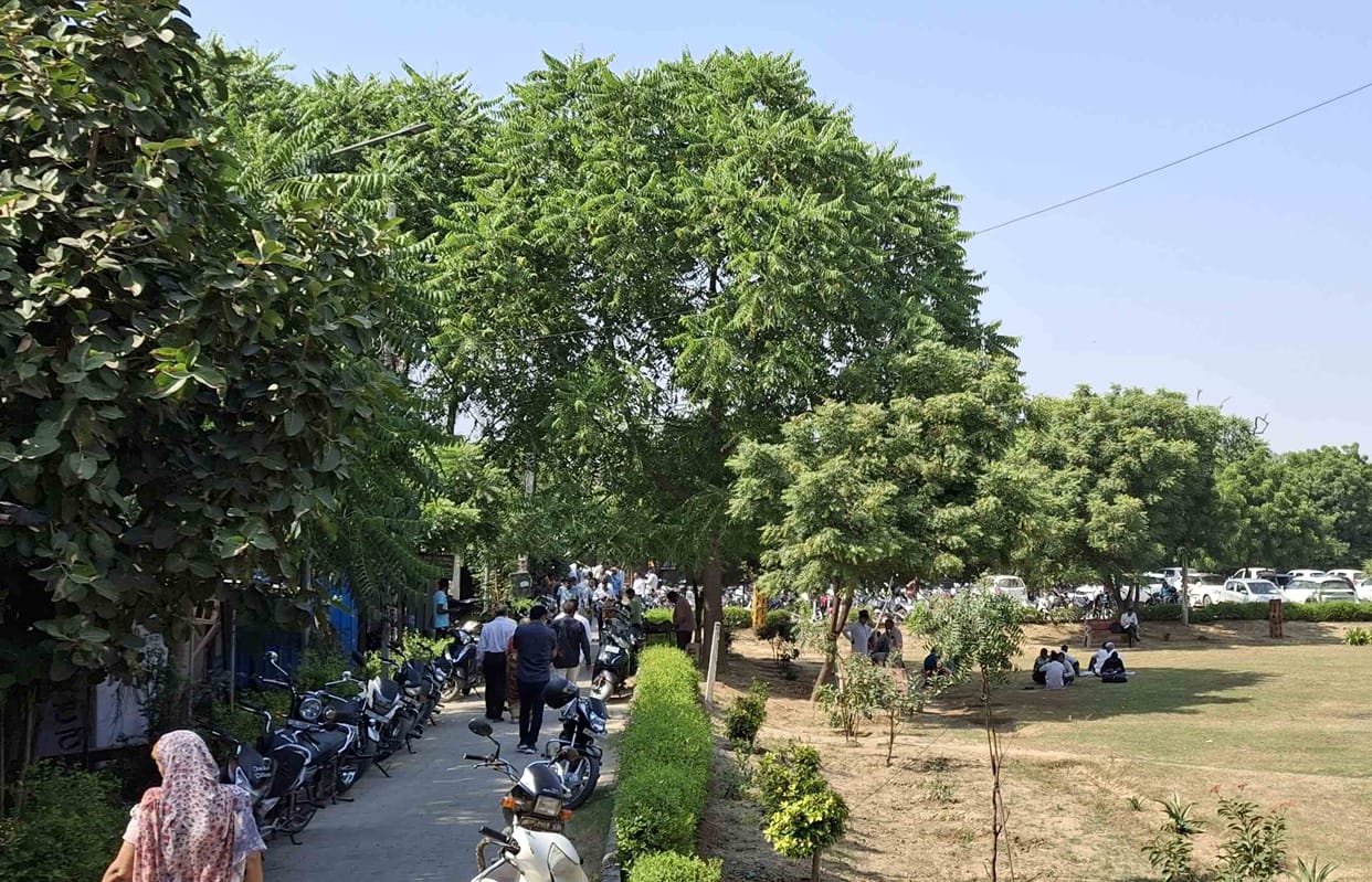 As pollution increases, ban on burning of tandoor, garbage and vandalism