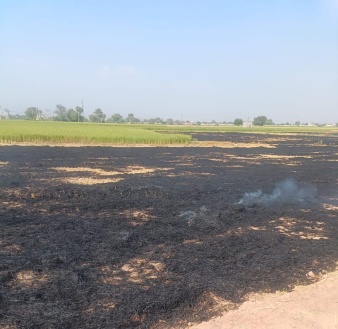 Harsek sent to 11 locations, stubble burnt at four places, farmers fined