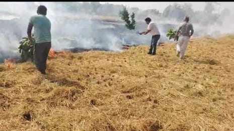 So far 31 cases of burning crop residue have been reported in the district, fine imposed on 25 farmers