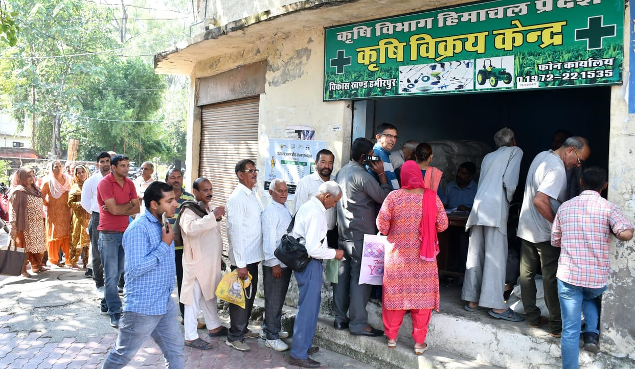 Barseem prices increased by Rs 35, garlic doubled