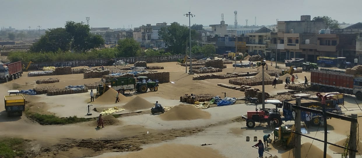 So far 35% paddy has been lifted, purchase is still slow