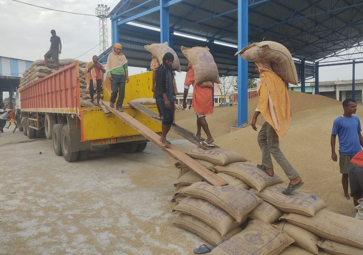 So far 51,880 quintals of millet has arrived in Badhra Mandi.