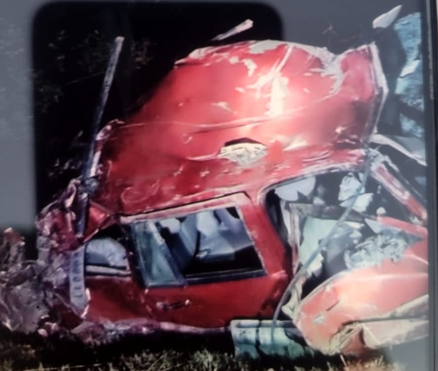 Scorpio fell into ditch in Piplah on Shamtha-Tikri road, two died, Rohru