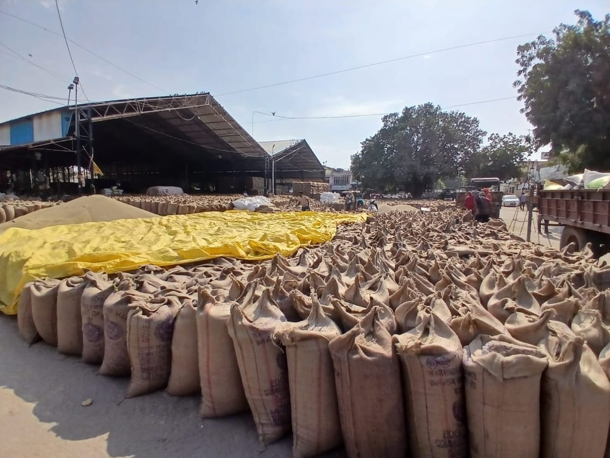 Arrival fast, offtake less, no space to store millet in markets