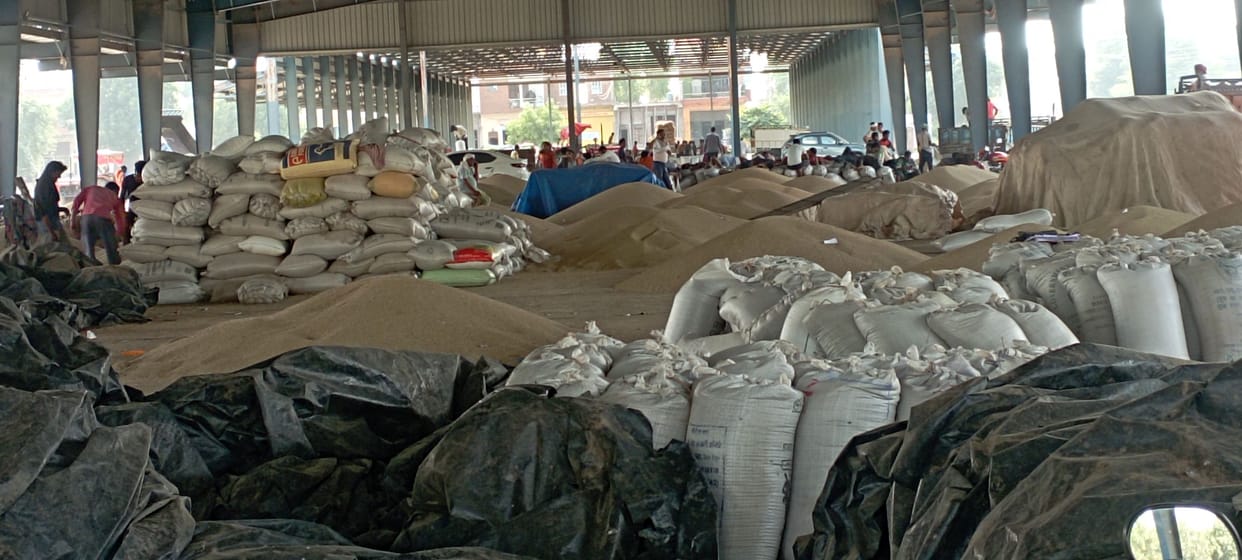 Gate passes given to 479 farmers in Ateli Mandi