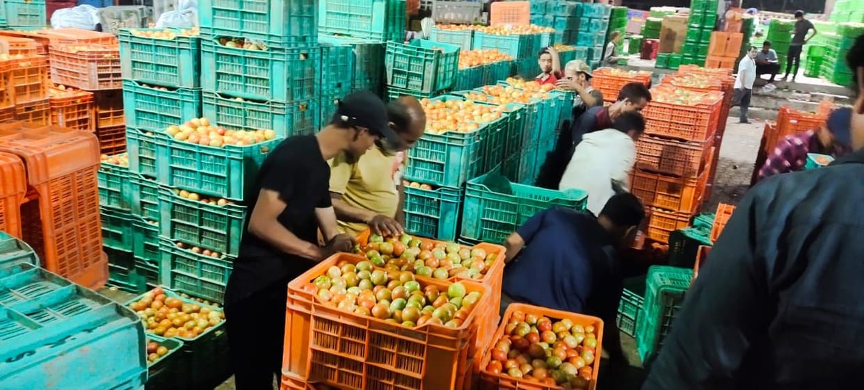 Tomatoes bounced again after a week, crate sold for Rs 1500