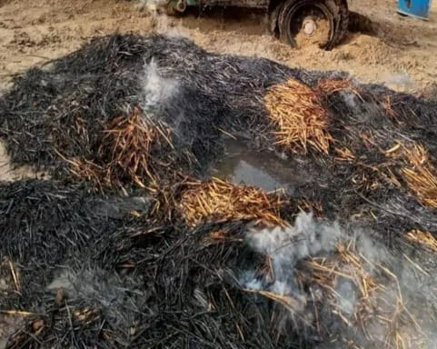 Bajra curry kept in the field got burnt due to fire