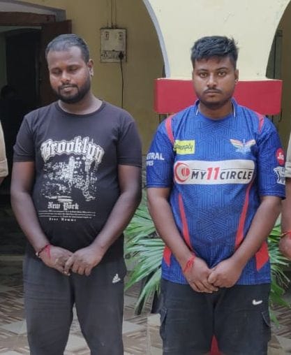 Two youths from Uttarakhand arrested with five turtles