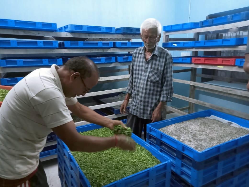Farmers' economy is getting strengthened due to silk production