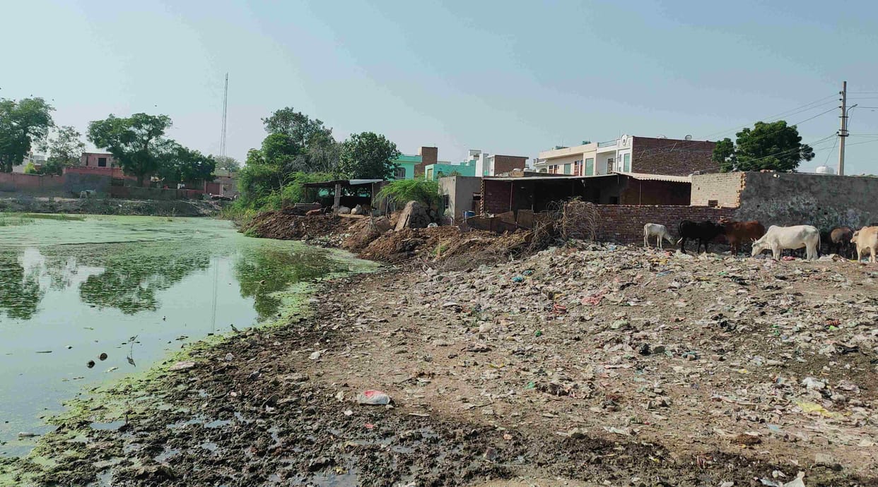 Bulldozer ran on cattle shed in tourist village Barara pond land was freed