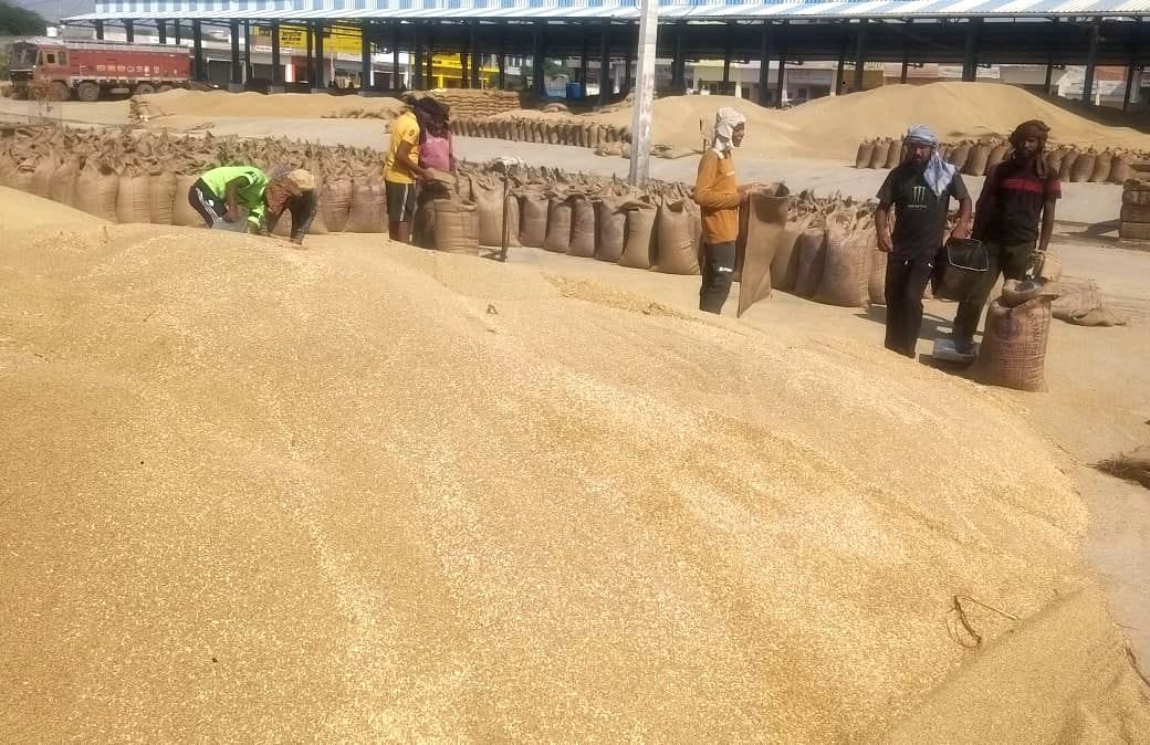 96,834 quintals of millet purchased and 70,898 quintals lifted: SDM