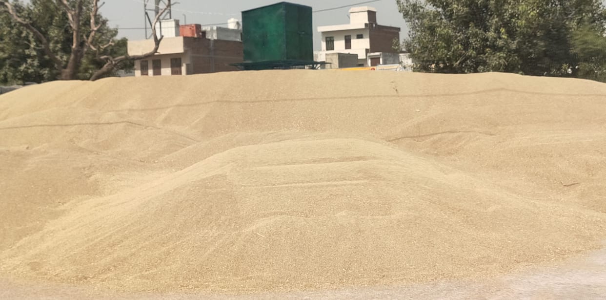 754 farmers in the district got the gatepass agency cut and 13780 quintals of millet was bought by the agency.