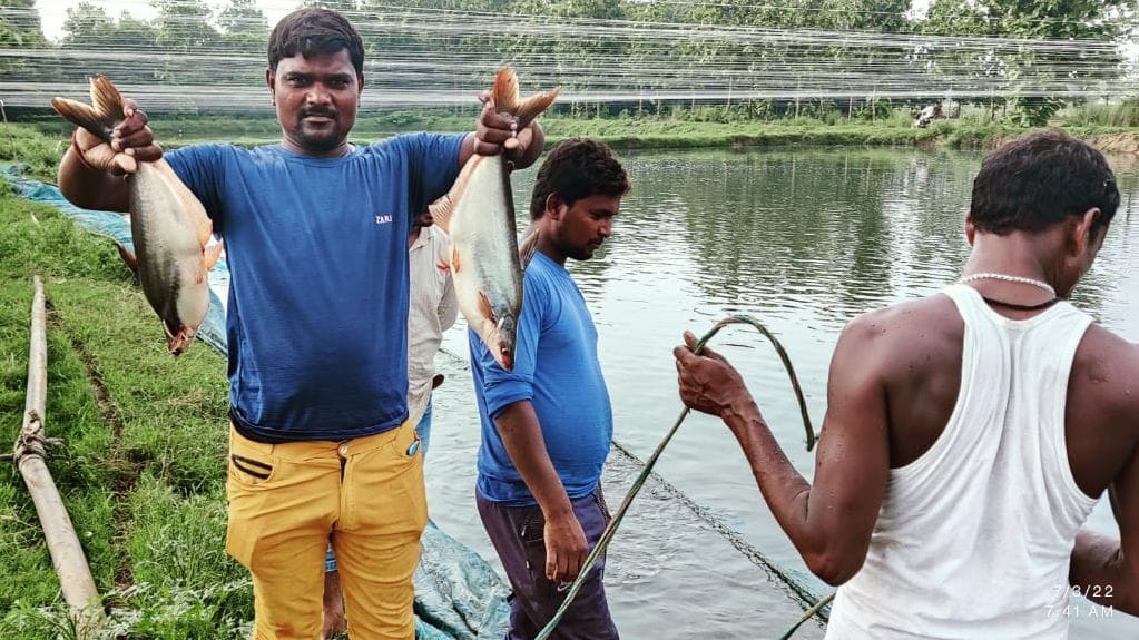 Fish are being consumed in Nepal, the price becomes one and a half times as soon as the border is crossed.