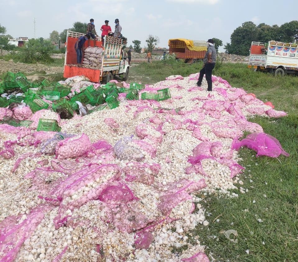 Consumption of 30 tons of garlic, if you are not careful then your health will deteriorate.
