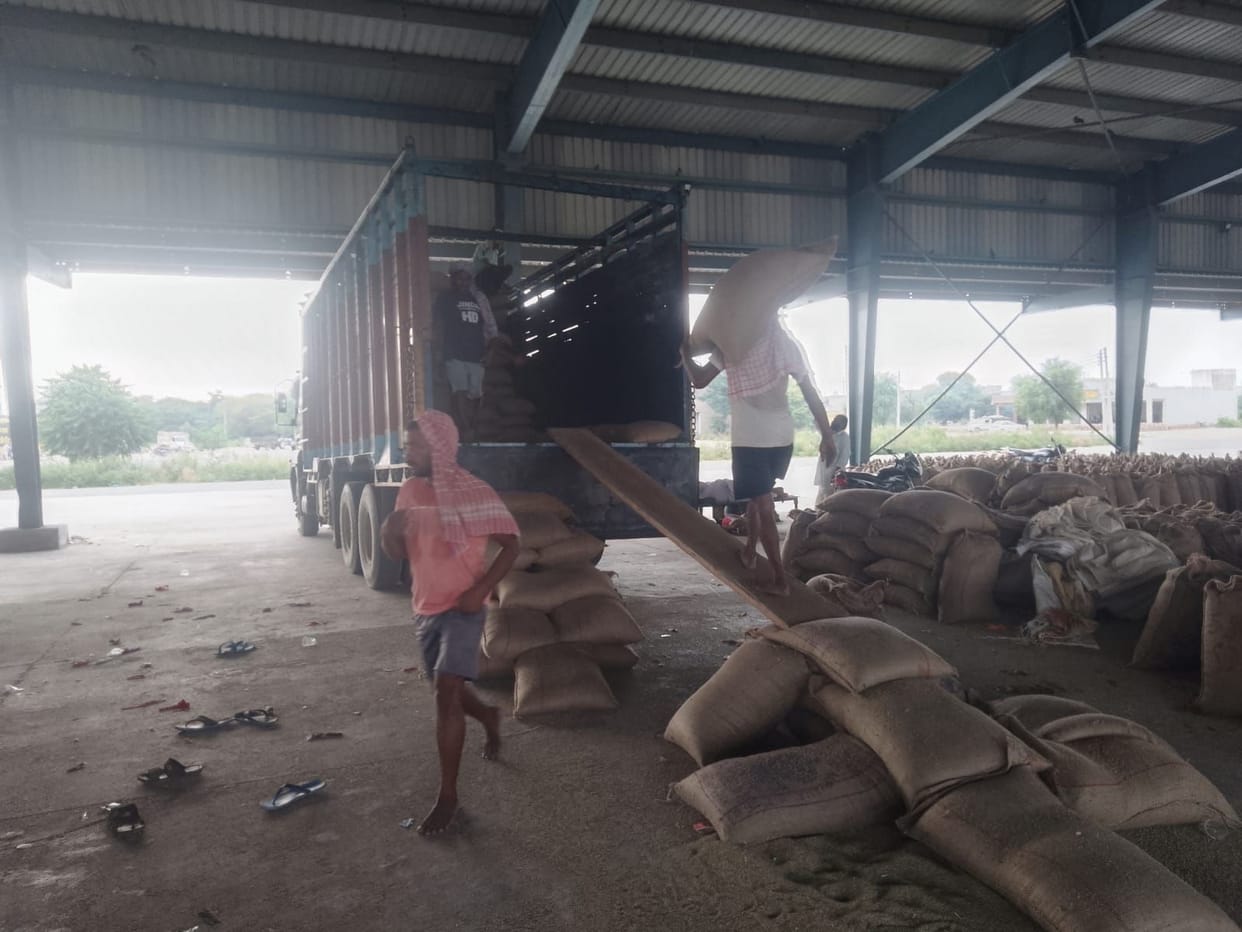 Difference of only Rs 50 between market price of millet and minimum support price
