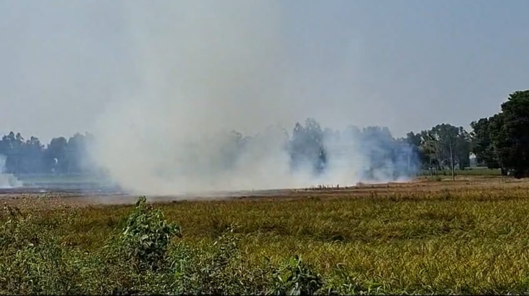 40 locations of fire found in crop residue, nine found correct