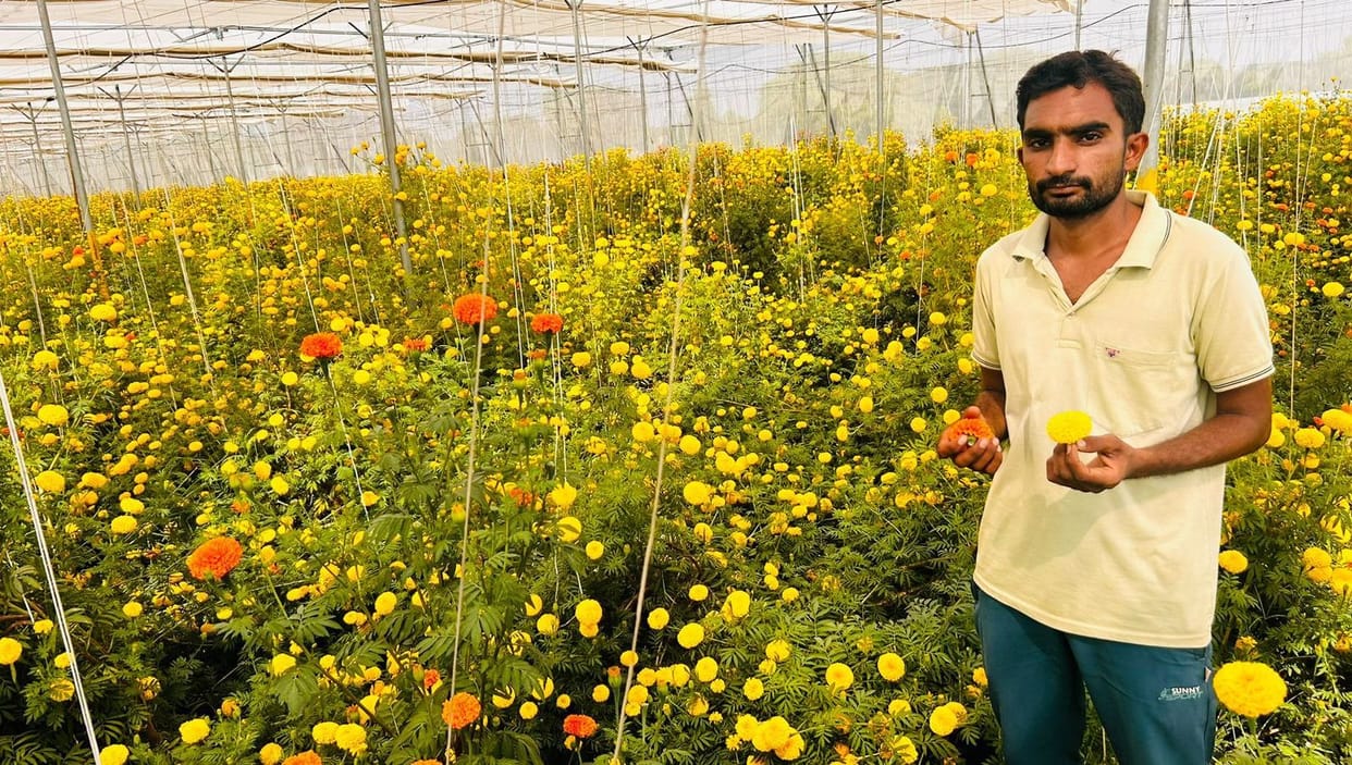 Good luck by cultivating fragrance