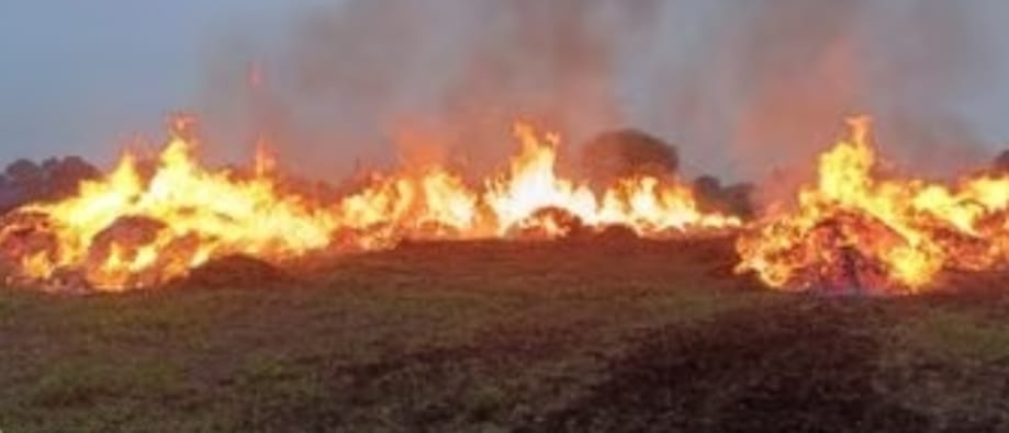 The farmer, unhappy with the crop, took out a matchbox and set fire to 14 bighas of soybean.