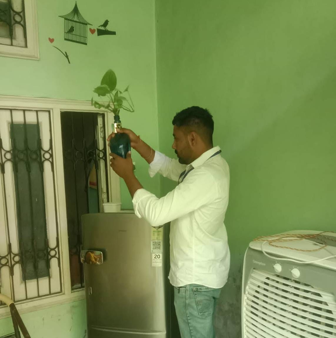 Fatehabad city is becoming a hotspot regarding dengue