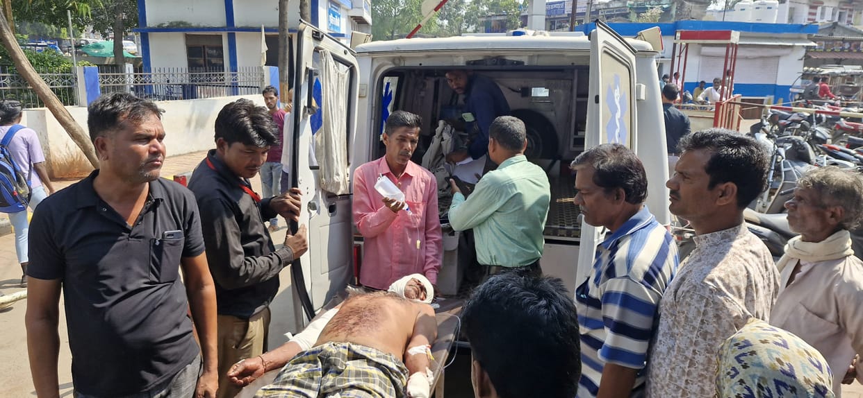 Bear attacked an old man who went to collect wood in the forest Damoh