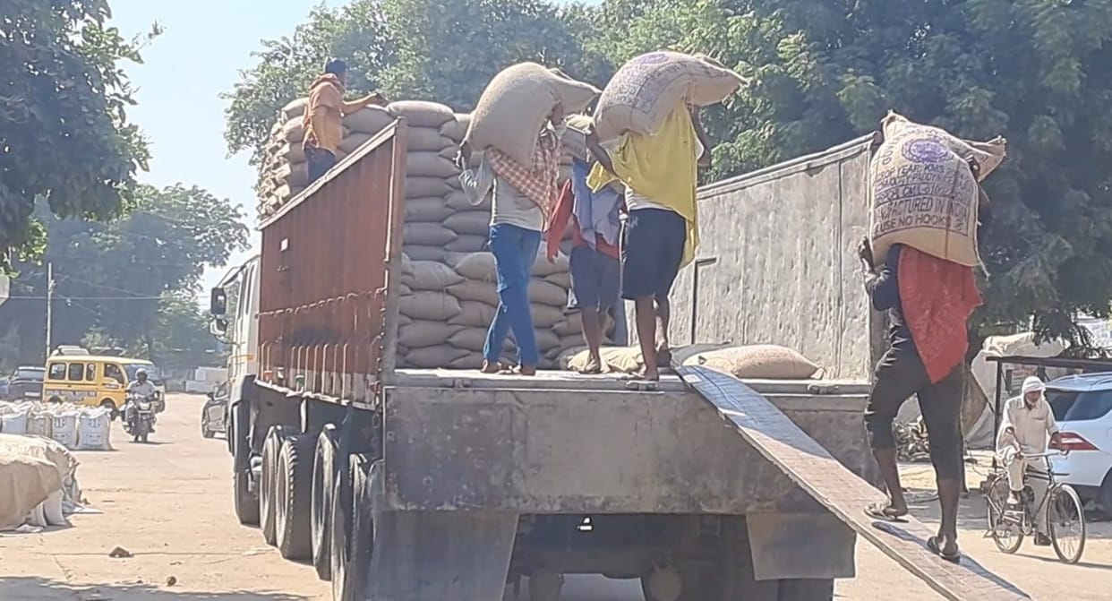 60 percent millet lifted in three grain markets