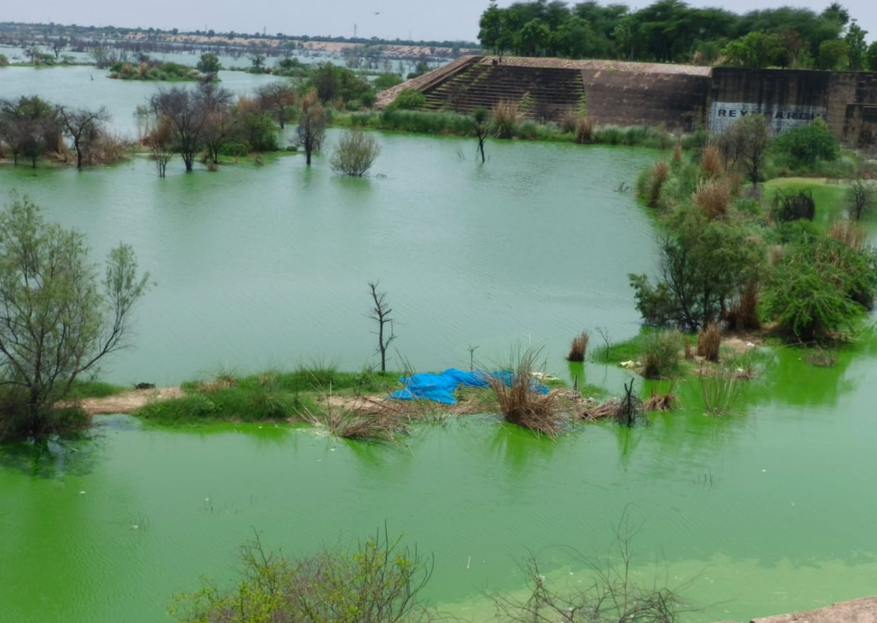 STP of the district is not following the norms, hearing will be held today