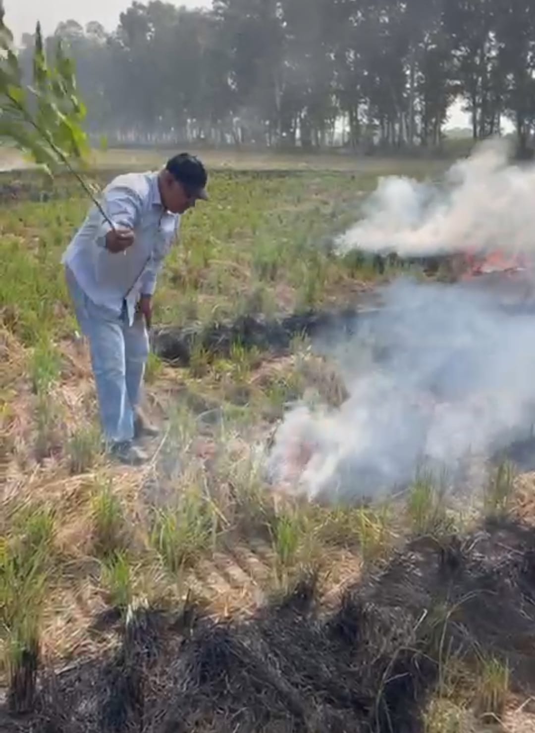 Burning crop residue found in village Mahalana, team extinguished the fire
