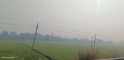 western disturbance will become active in Haryana today Rain is likely until February 2nd