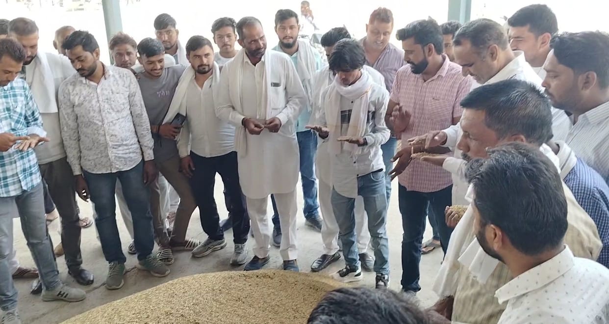 Purchase of 61 thousand quintals of paddy in grain market