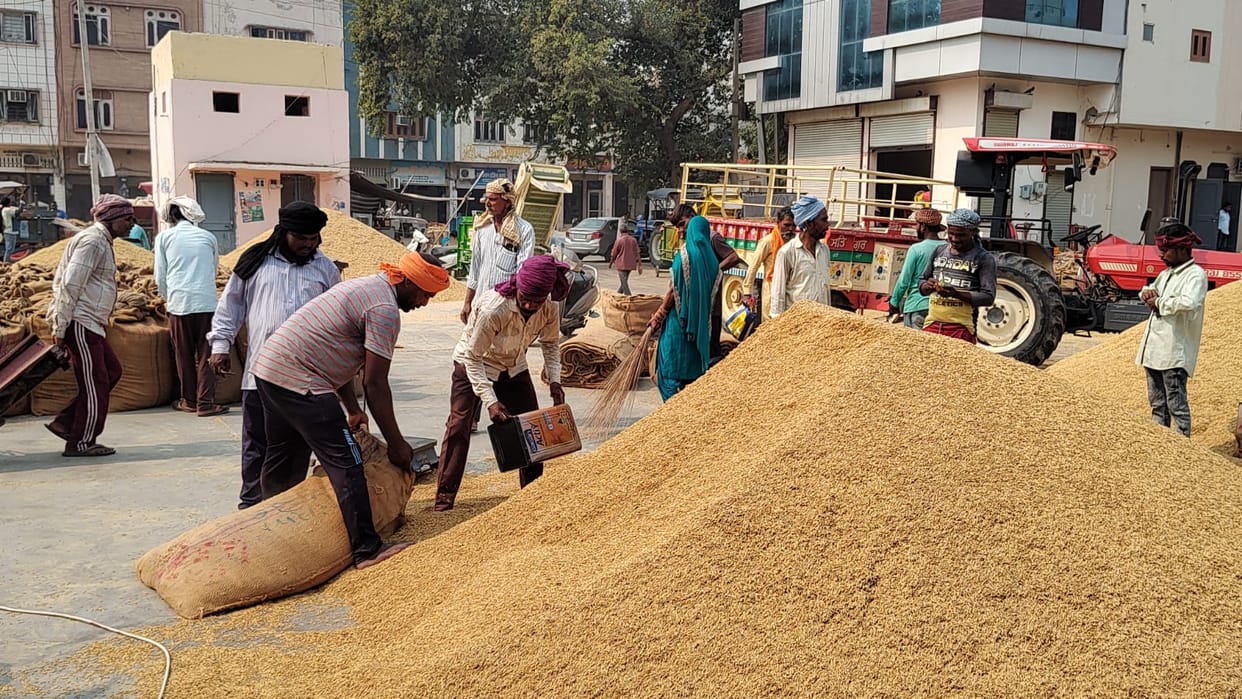 Farmers who came to sell paddy in the market said that the bundles made of straw are not lifted on time, there is a delay in sowing wheat
