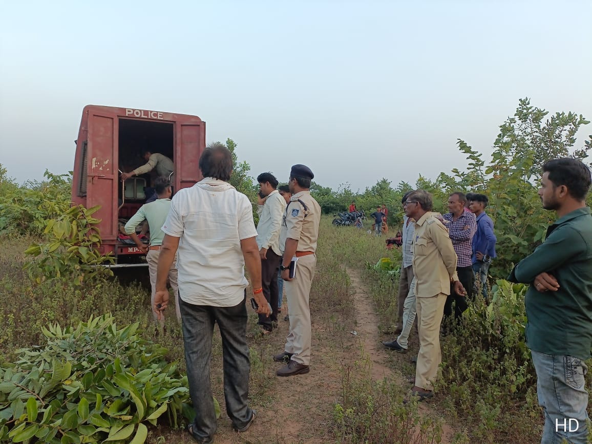 Damoh Bodies of lovers missing from home found hanging from noose in forest police engaged in investigation