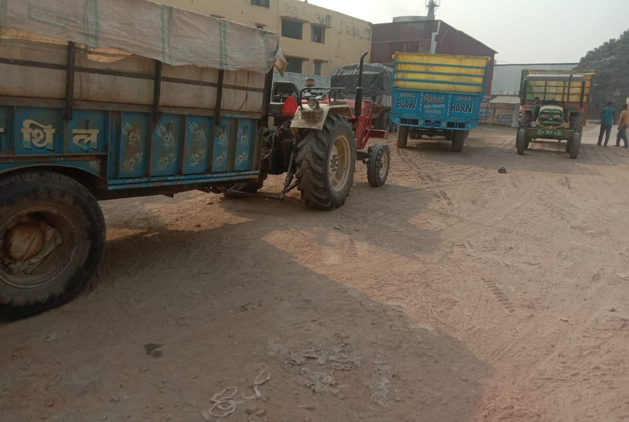 The price of paddy fell due to increased arrival