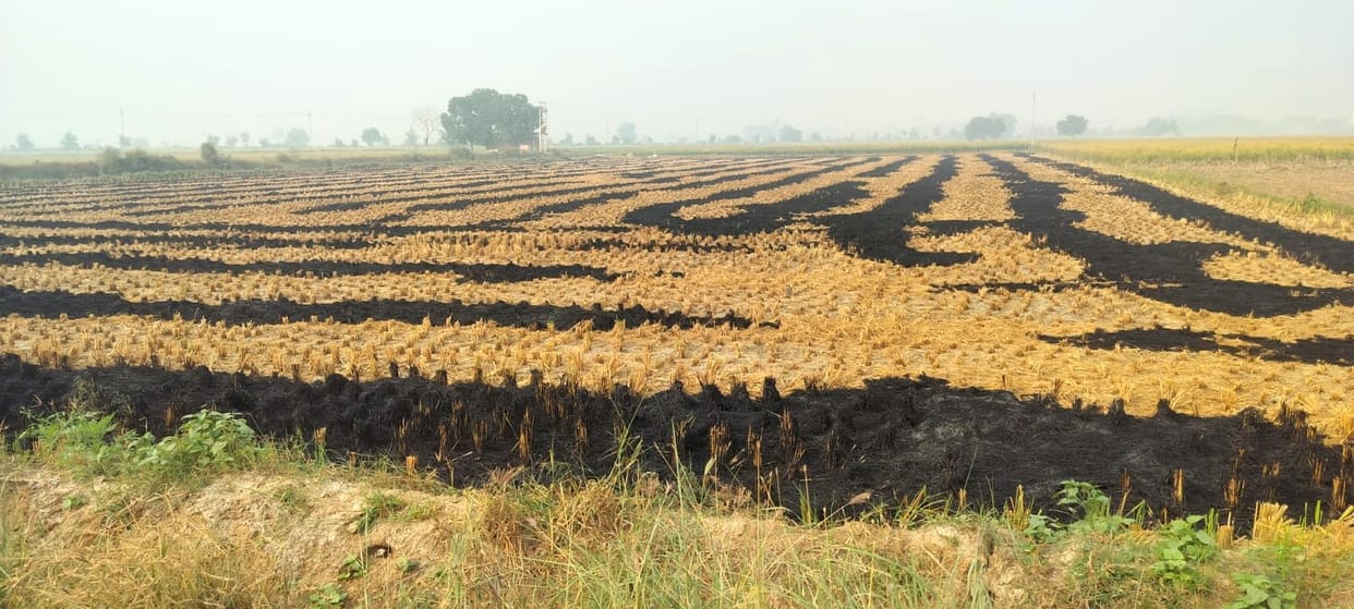 Two agriculture supervisors suspended for not stopping stubble burning cases