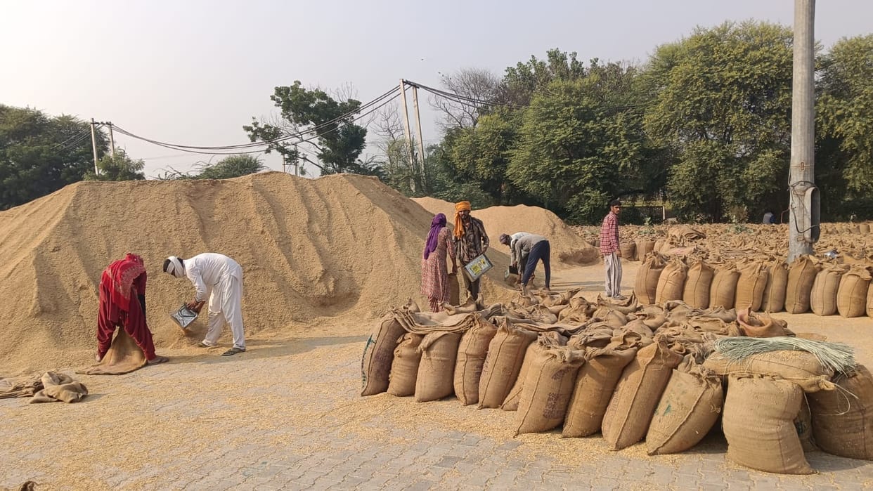 There is no space in grain markets, paddy crop has to be kept outside