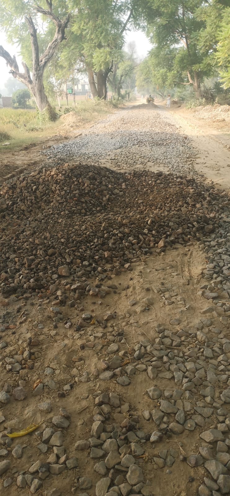 The Agency Was Reprimanded For Using Substandard Material In Road ...