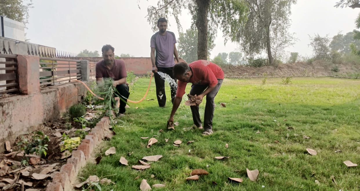 In Nuhiyanwali, the youth changed the picture of Rambagh, created five parks by uprooting thorny bushes and weeds, also planted 1300 saplings