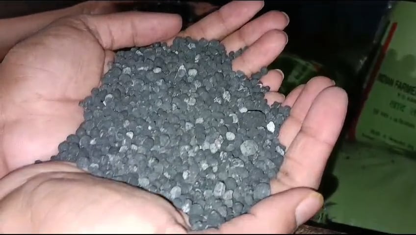 हरदोई: नकली खाद की 820 बोरी जब्त, हरियाणा से लाई गई थी खेप, नमूने जांच को भेजे गए, संचालक समेत चार पर रिपोर्ट