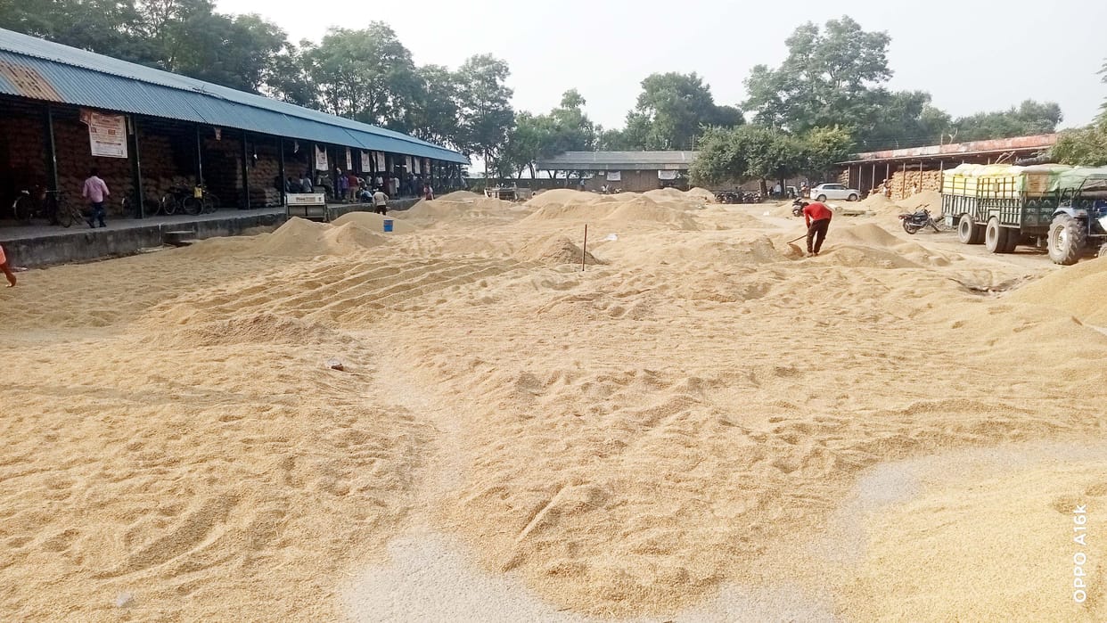 Piles of paddy in front of the centers...buying or playing a game