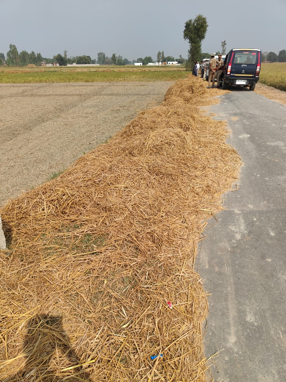 Most of the stubble is burning in the district, purchase stopped in biomass making plants