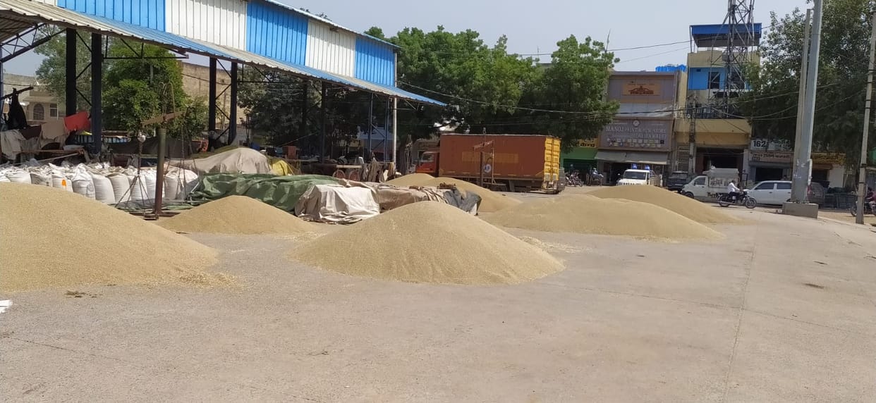 60 percent of total millet has been lifted so far