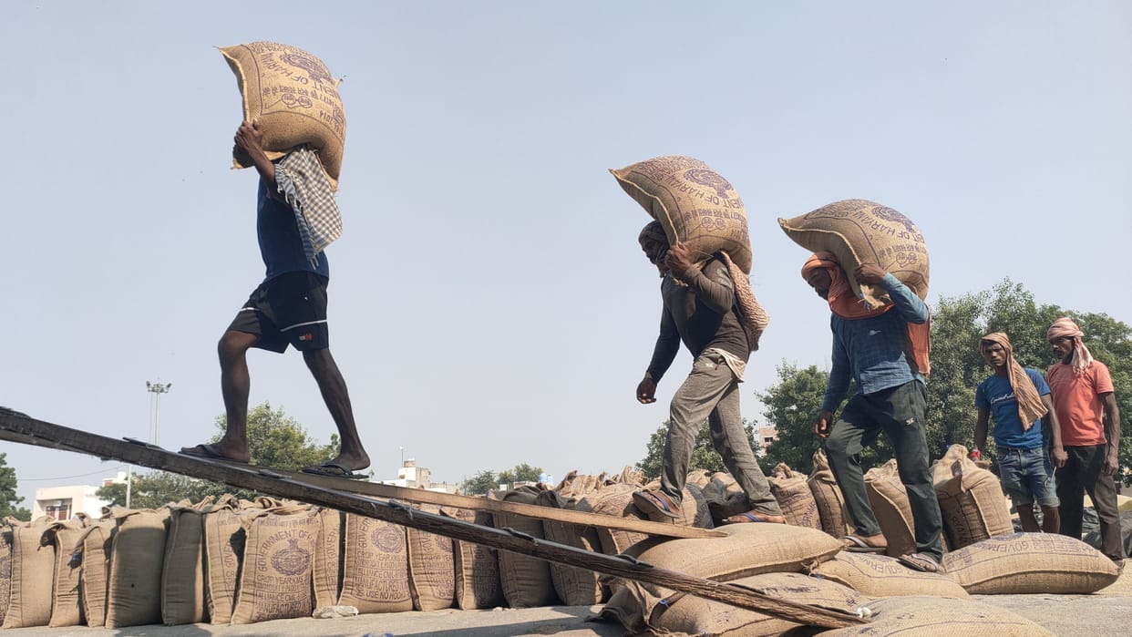 The agency purchased 10,757 quintals of millet